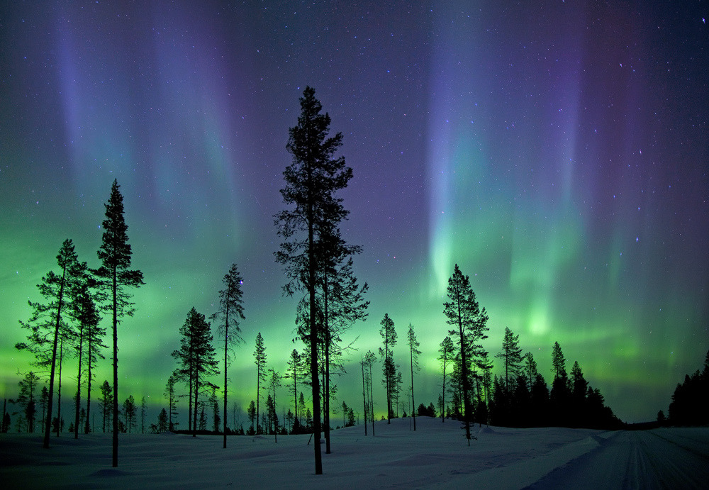 natureac:  Take The 52 Week Photo Challenge or Check Out DSLR cameras here