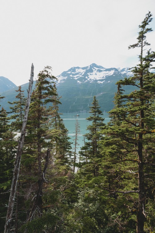 heyimchandler: Throwing it back to some summer vibes in Whittier, Alaska. Hoping to see some sort of