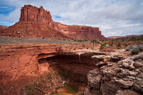 oneshotolive:  Canyon country in the southwestern uSA. Saw a coyote chasing some kind of fast land bird [OC] [1950x1300] 📷: JonathanJessup 