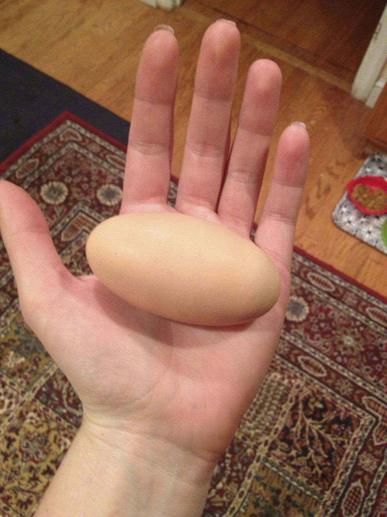 mothbug:  one of my chickens consistently lays ridiculous eggs and it’s the best