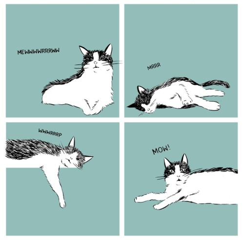 Baby&rsquo;s first cat comic.