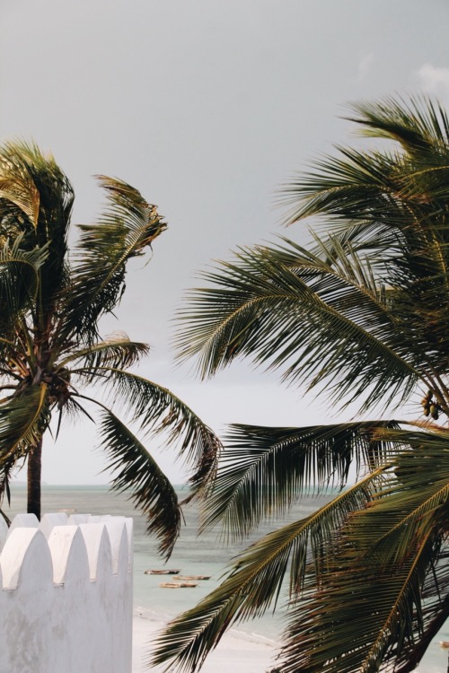 sandylamu:  Zanzibar, Photo Sandy B 