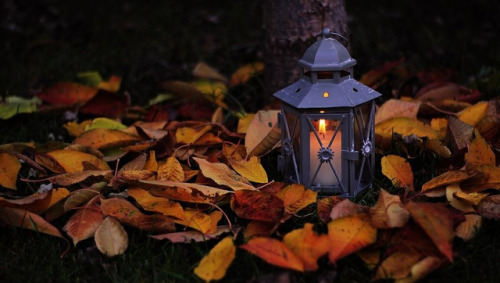 cozyweather-love: