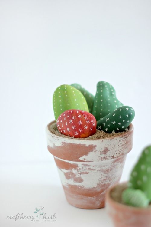 DIY Painted Cactus Garden : Craftberry Bush
Although not technically container gardening, I could not resist sharing this cactus garden made of painted rocks. Simple enough for a child, but with the potential for an adult to really get in there with...