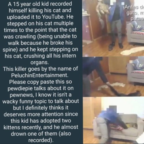 bluegeco: Please spread this guys HIS CHANNEL IS STILL UP