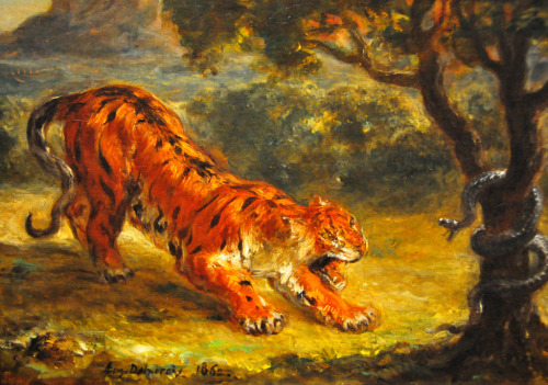 artist-delacroix: Tiger and Snake, 1862, Eugène DelacroixMedium: oil,canvas