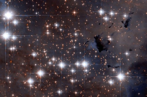 startswithabang - Hubble Catches New Stars, Individually,...