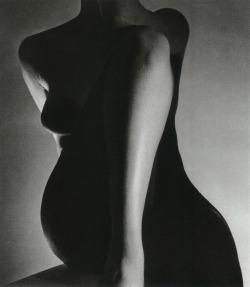 almavio:Horst P. Horst (1906-1999), Untitled,