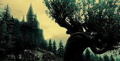 arthurpendragonns: I solemnly swear that I am up to no good.
