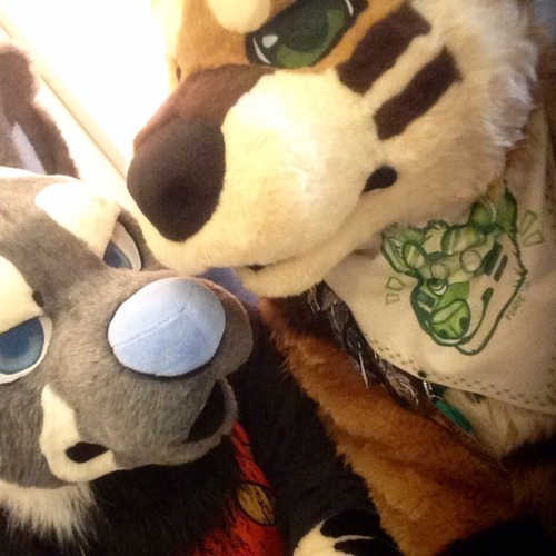 megahyena: Megabyte and rieoux were more than happy to represent the seadogsuits family at Califur! 