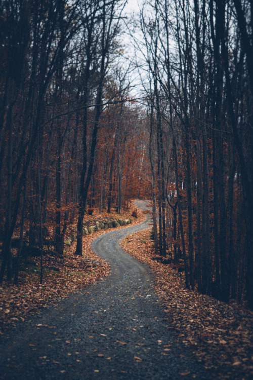 ominousraincloud:  Untitled | By Gabriela Tulian