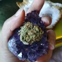 beautifully-medicated:Recharging my nugs with Amethyst 💜