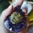 beautifully-medicated:Recharging my nugs with Amethyst 💜