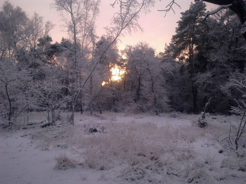 furything:  winter 