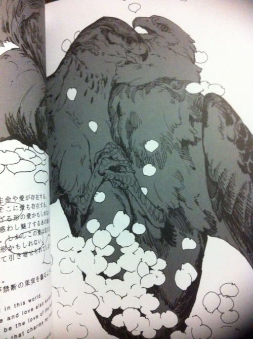 dezzoi:  youkoofthelovespot:  The infamous bird BL book. This is my friend’s copy; I await mine in October.  I know it’s bird sex, but damn…I’d buy this for the art. It’s so hard to find decently drawn vultures.  