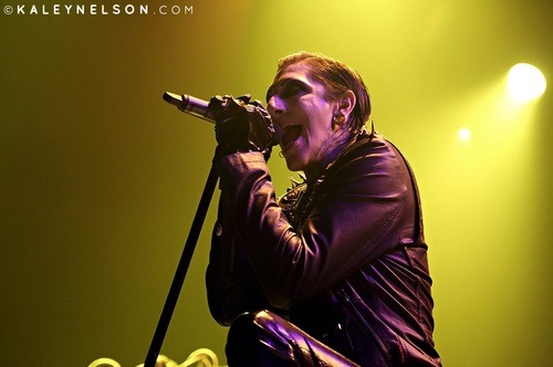 chrismotionlessisthenewking:  source kaleynelson.com