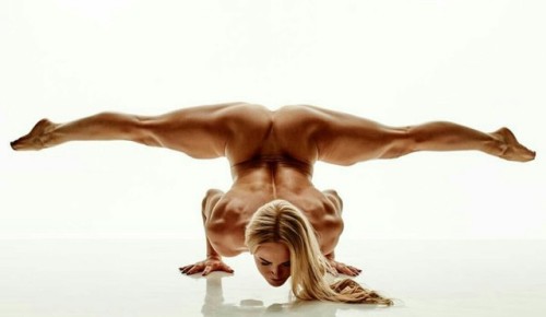 Heartmuscle