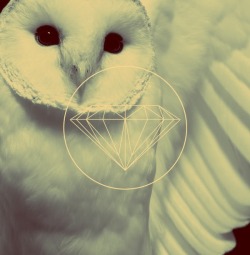 DEFTONES DIAMOND EYES