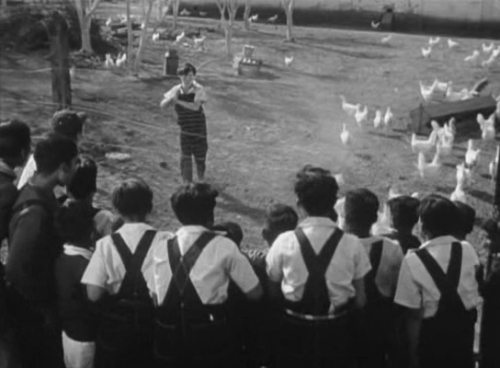 agnesvarda:“Los olvidados”, directed by Luis Buñuel, 1950.