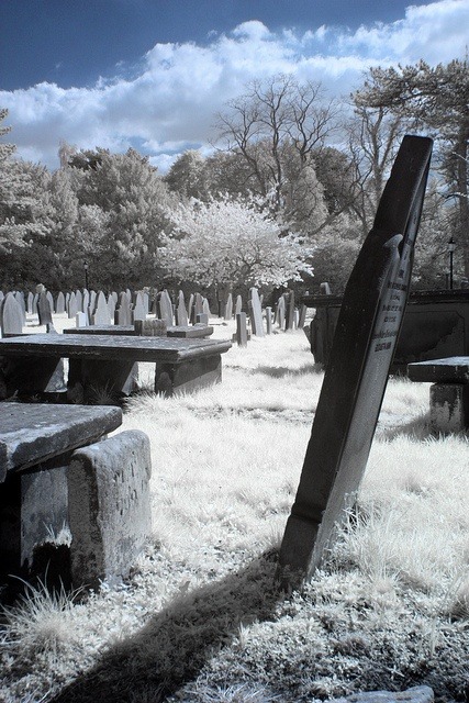 Porn Historic Eastham Village, old graveyard (this photos