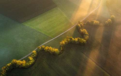 Morning light  by Peter Zajfrid