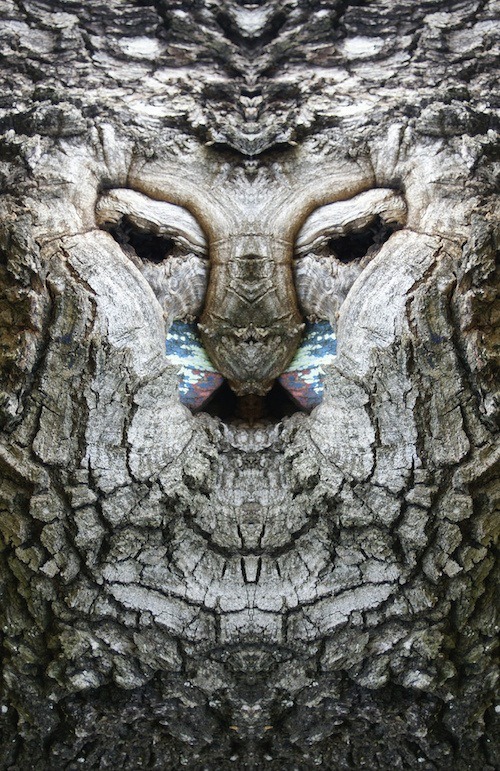 widewalls-artmagazine:    Trees aren’t scary, right? WrongElido Turco photographed