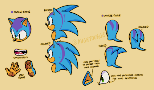 mightourge: physiology of a speedy mobian hedgehog[click for better quality]