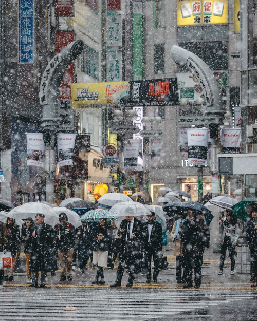 Snow in Shibuya crossing     Instagram / Facebook / Twitter