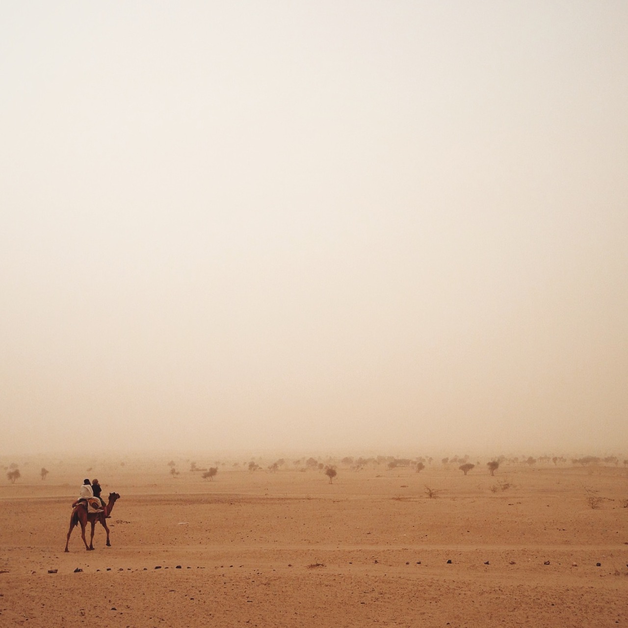 danielodowd:  http://stevie.vsco.co/