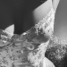 wildkiitten: