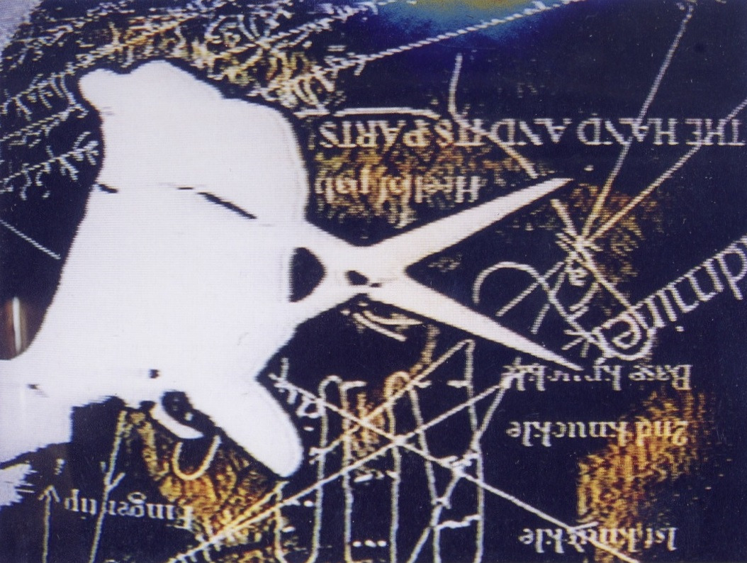 sirilaf:  Survival Signs (1998), Mounir Fatmi 