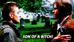 supernaturaldaily:  “My name is Dean Winchester. I’m an Aquarius, I enjoy sunsets, long walks on the beach and frisky women. And I did not kill anyone.” 