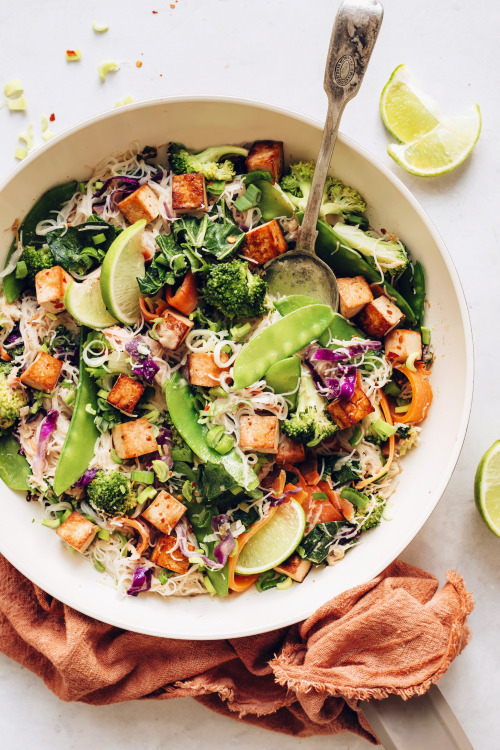 Tofu Noodle Stir-Fry with Spring Vegetables / Recipe