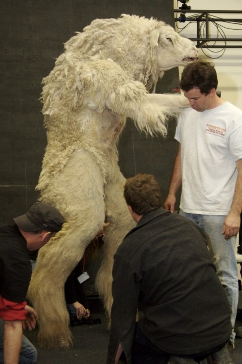 monsters-werewolves:#MonsterSuitMonday A weresheep? Yes. A weresheep from the 2006 film “Black Sheep”. Here, you see a fitting for the full costume as well as some other work from the film by Igor Studios. Ahh, the costume and effects stuff in Black