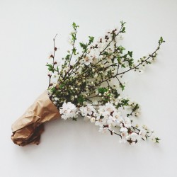 baesil:  a pretty bouquet 