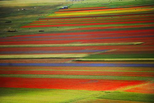 expressions-of-nature:  Castelluccio, Italy by Elena Sala