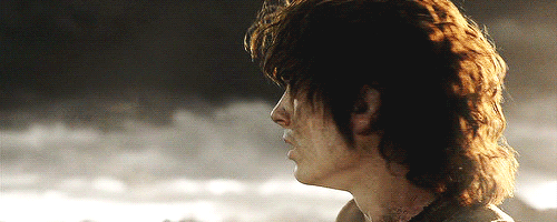 insideadogitstoodarktoread:welcome—to-the-madhouse:pippinofthe-fellowship:lets just pretend that the