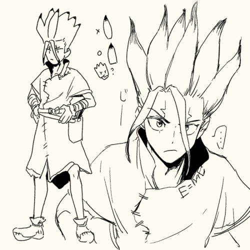 dr stone