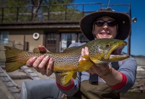 Sheila and Bryan enjoying the dry fly fishing yesterday! #flyfishing #flyfishingmontana #flyfishingj