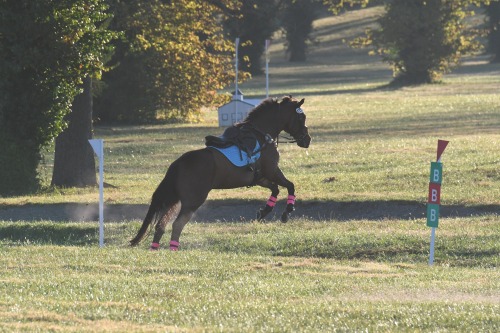 If Monday were an xc jump