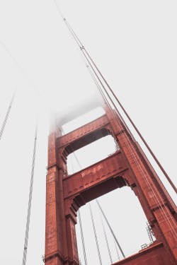 thisnormallife:  san francisco, ca | aug 29th |  ©thisnormallife  