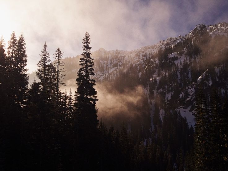 owakolf:  Nature Blog 
