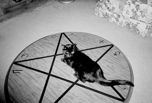 moiskale.tumblr.com/post/69089612209/