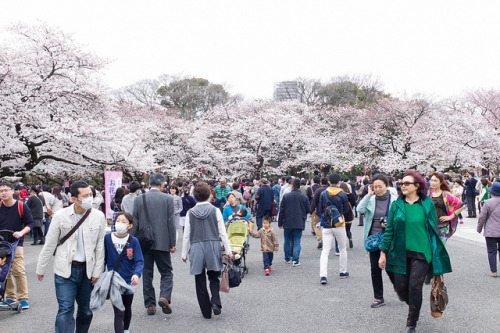 Ueno onshi park by Okera on Flickr.