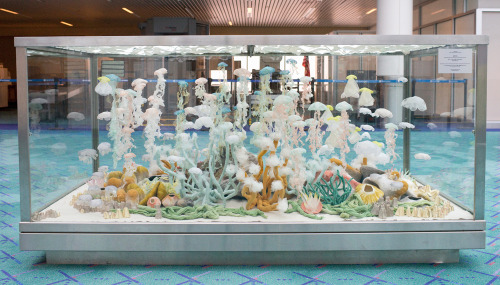 showslow: Inspired by the ever-changing underwater life, Portland-based multidisciplinary artist&nbs