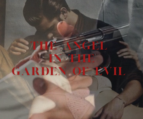The Angel In The Garden Of Evil | Chapter Seventeen: A Friend In The Shadows