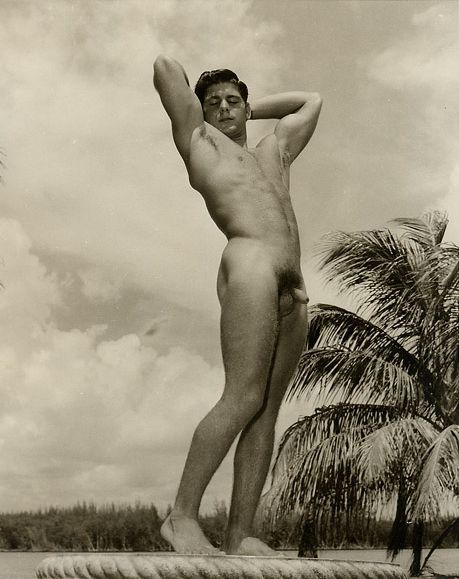 bushbabies:  statuebush 