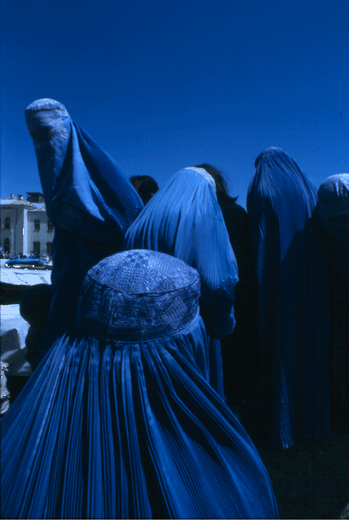انا ذاهب الى اللعنة لكم مع أ