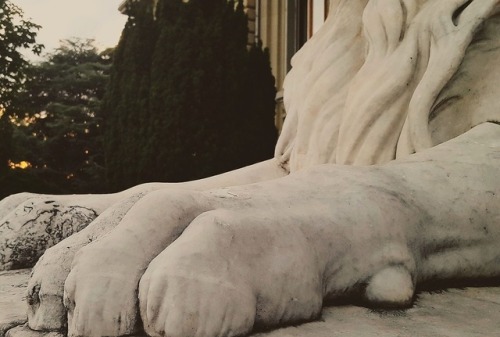 detailedart:Photoset n°0 | One of two lions carved by Charles-François Iguel (1826-1897) in front of