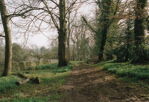 alifeingrain: Spring Tracks - March 2018 ~ Gloucestershire ~